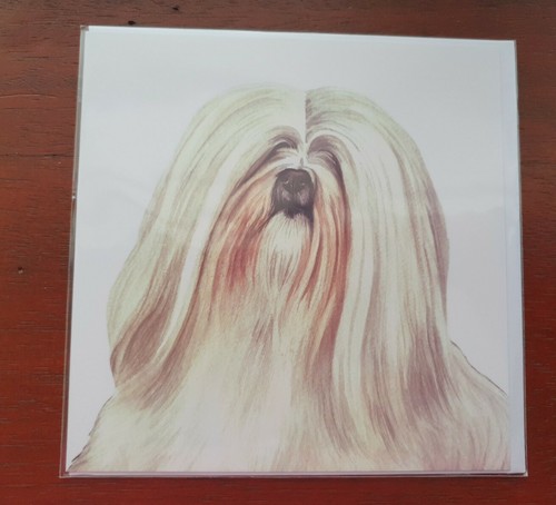 Lhasa apso greetings card dog - apso,