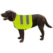 Crufts Hi Vis Dog Coat High