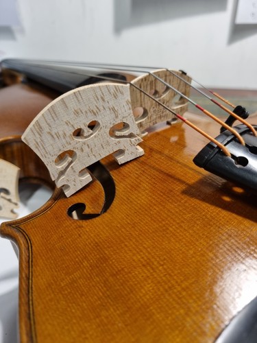 High grade violin - violin, 4/4