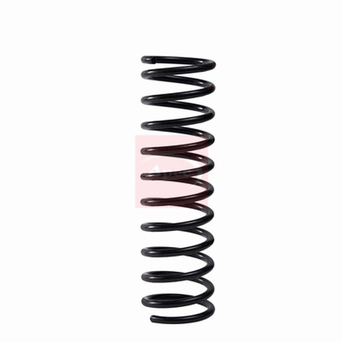 Coil springs for - 2x, (pair)