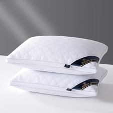 2 Luxury Hotel Quality Pillow