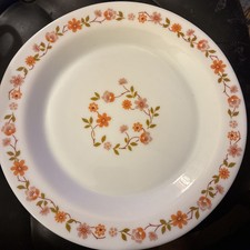 Vintage Arcopal Scania Dinner