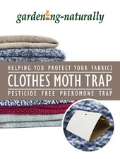 Clothes moth trap pheromone - trap,