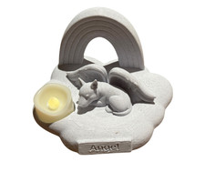 Angel Bull terrier on Rainbow