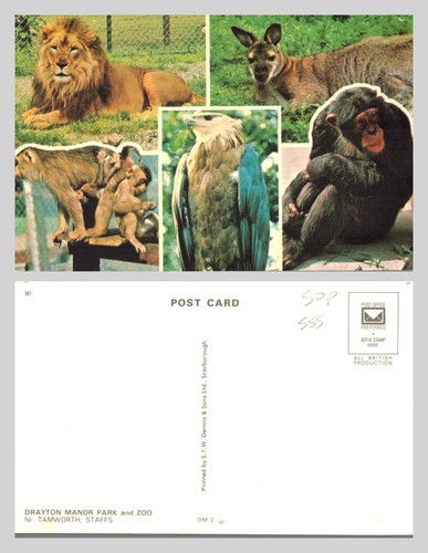 Postcard drayton manor park - postcard,