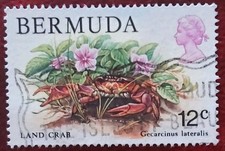 Bermuda 1978 Land Crab 12c