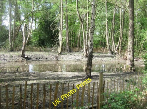 Photo 6x4 serious clearance - photo,