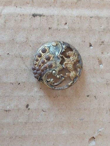 Old ww1 lion button perhaps - ww1,