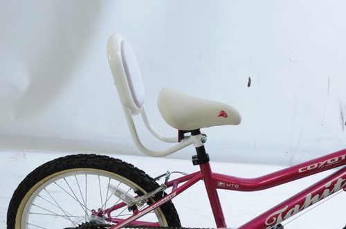 Special needs bike trike - special, seat