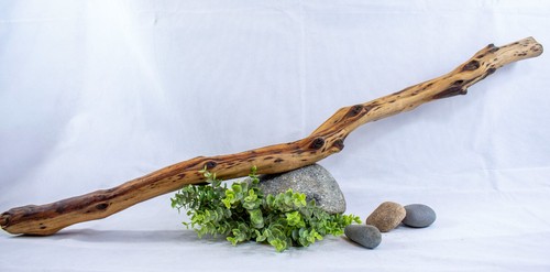 Large driftwood manzanita - large,