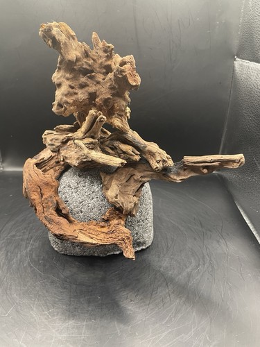 Aquarium driftwood handcrafted - aquarium,