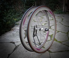 VVGC Campagnolo Shamal 12 HPW