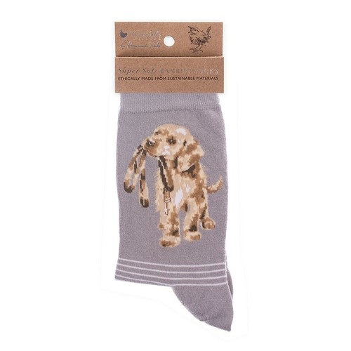 Super soft hopeful labrador - soft,