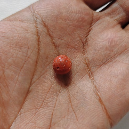 Natural red coral - natural,