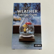 Snoopy Weather