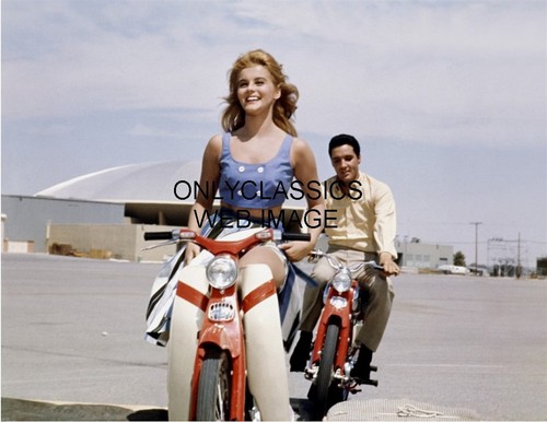 1964 cool elvis - presley, chases