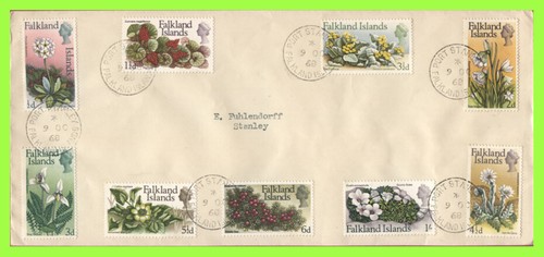 Falkland islands 1968 flower - islands,