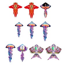 Huge Kite Outdoor Activities