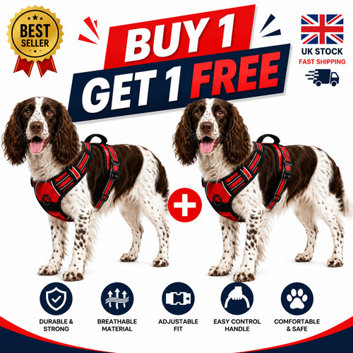 Blue german shepherd harness - german,