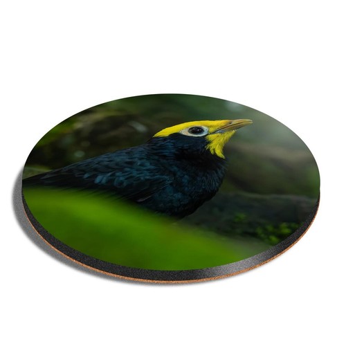 Round mdf coaster golden - round,
