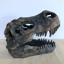 Dinosaur Skull Replica Fossil