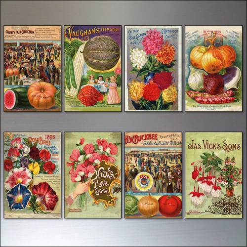 Vintage botanical seed packet - seed,
