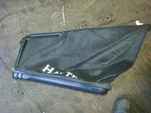 Hayter harrier hawk grass - hawk,