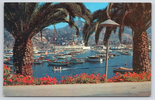 1960 avalon bay - avalon,
