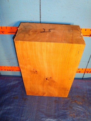 Spalted beech turning - beech,