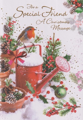 Special friend christmas - special,