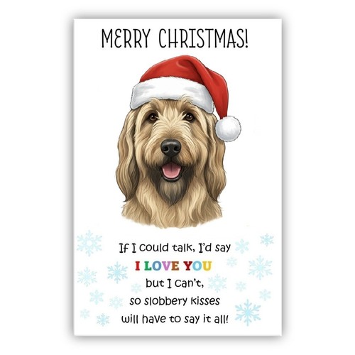 Briard dog christmas card - briard,