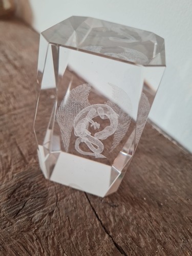 Vintage glass paperweight with - glass,
