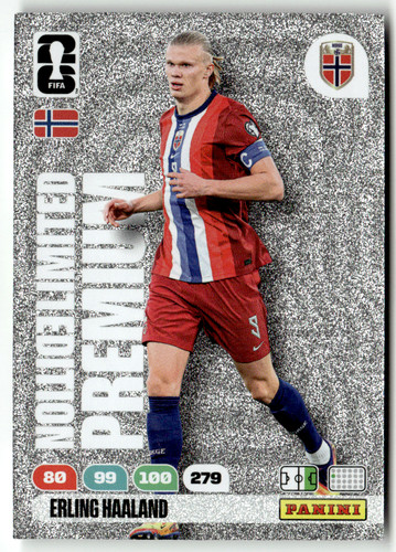 Panini fifa world cup - fifa,