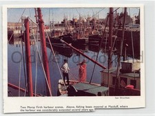MACDUFF - fishing vessels inc. BF 179 - 1970s photograph clipping (BANFF)