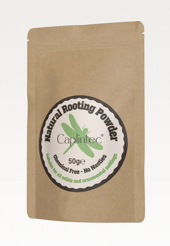 Rooting powder for plants - rooting,