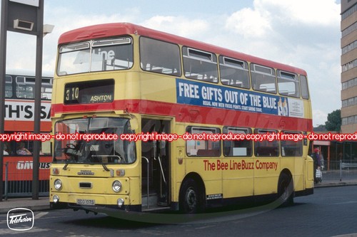 Bus photo bee line - -,