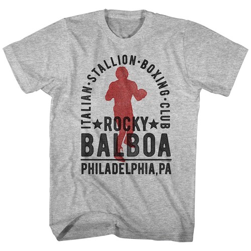 Rocky balboa boxing - rocky,