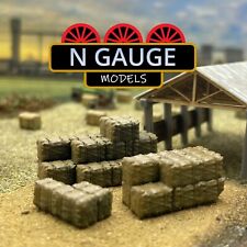 PAINTED- 1:148 N Scale Gauge