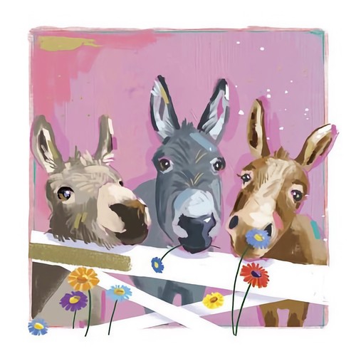 Donkeys cute blank card - donkeys,