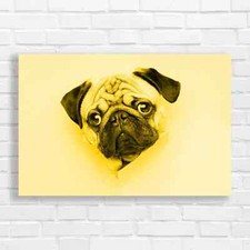 Adorable Pug Puppy Yellow Canvas Print Large Picture Wall Art