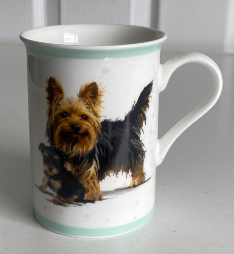 Yorkshire terrier yorkie - yorkshire, &