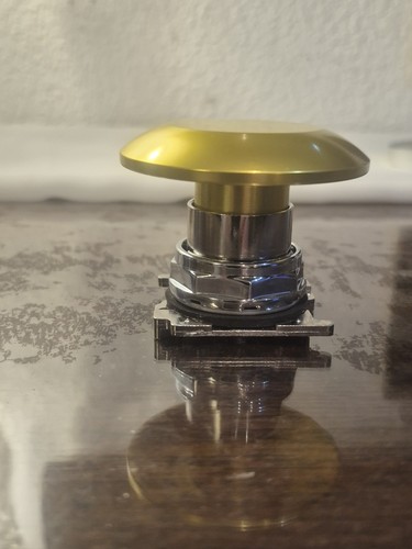 Locomotive alerter button - alerter,
