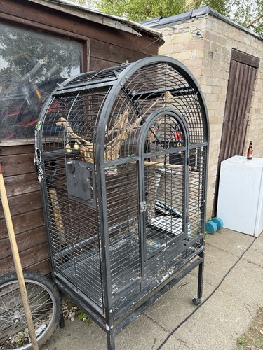 Large bird cage for parrot - bird,