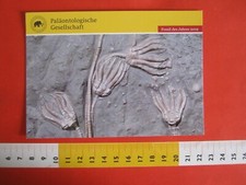 L.2 CARD GERMANY FOSSIL FOSSIL