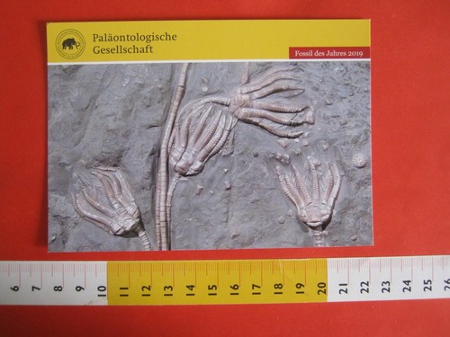 Card germany fossil - card,