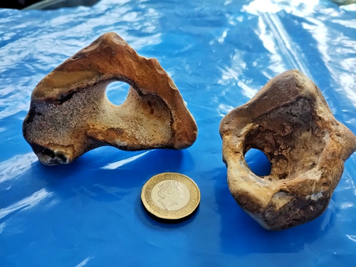Pair hag stones natural - pair,