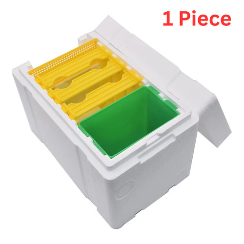 Queen bee breeding box - queen,