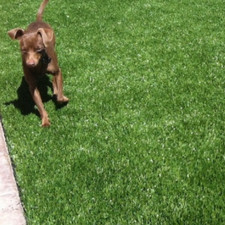 Artificial Grass 20mm, 25mm