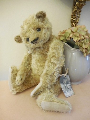 Gorgeous artist bear - gorgeous, by