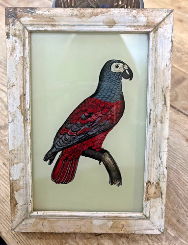 Indian parrot vintage reverse - indian,